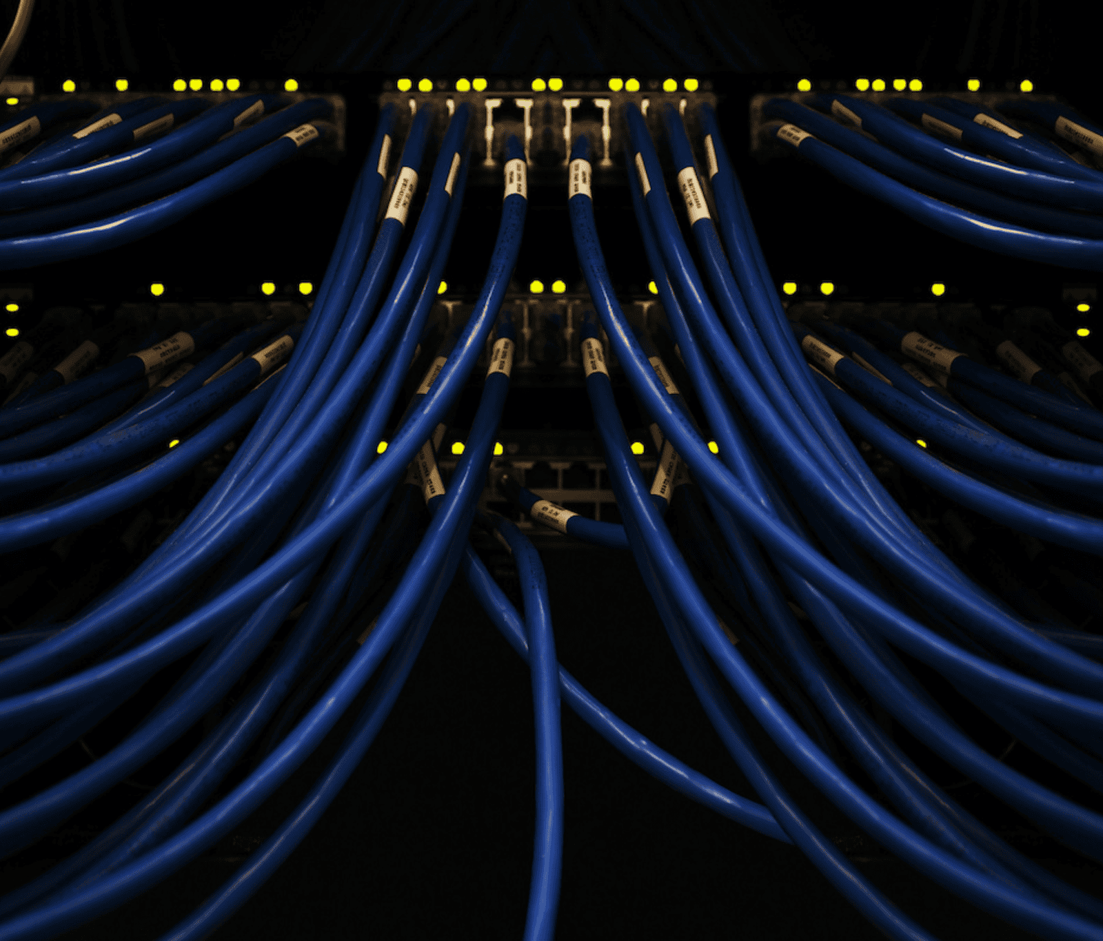 Close-up of network cables connected to switching equipment, representing MPLS connectivity and managed wide area network infrastructure.
