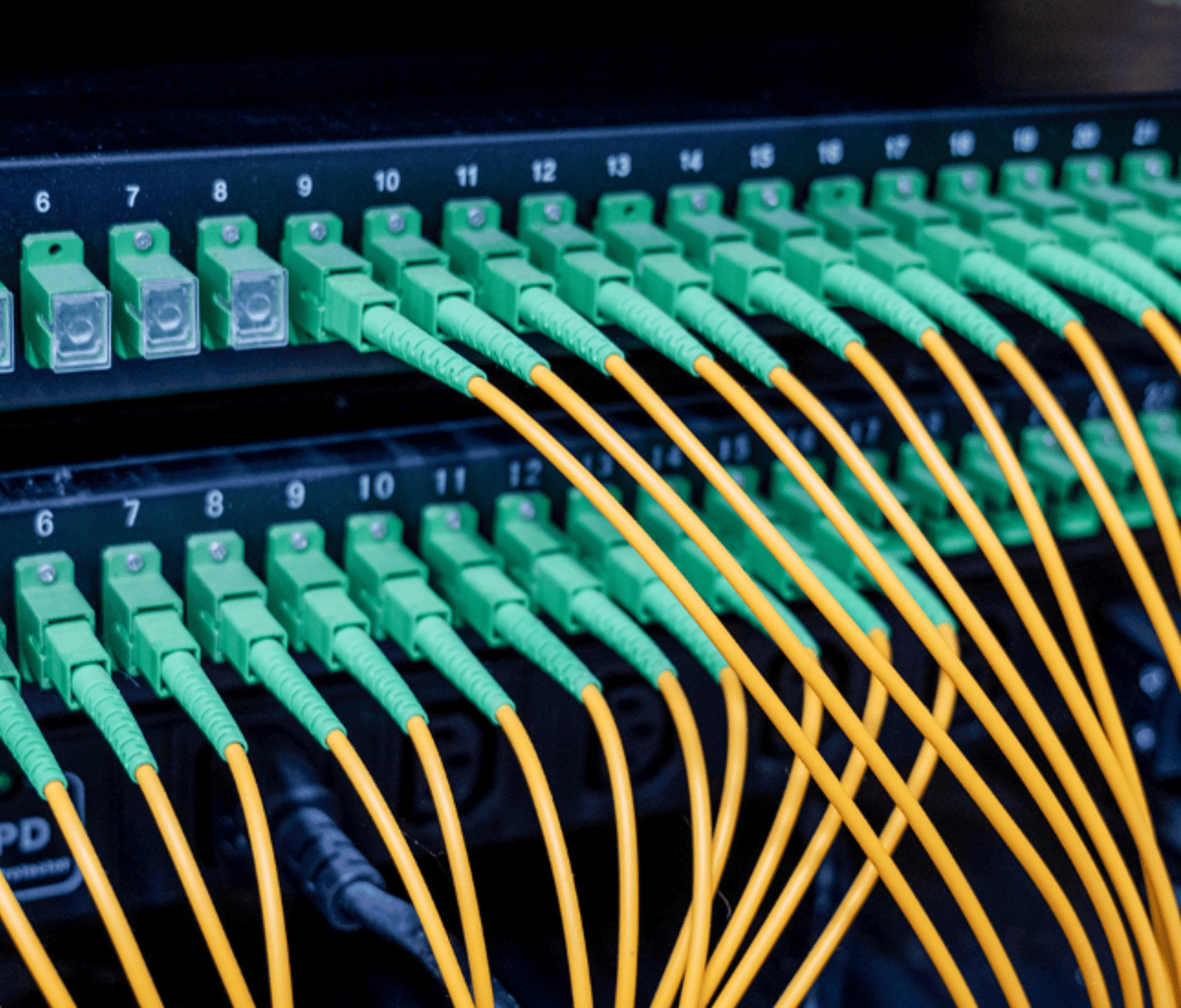 Close-up of fibre optic cables connected to a network patch panel, representing resilient IT infrastructure and high-speed data transmission with built-in redundancy and reliability.